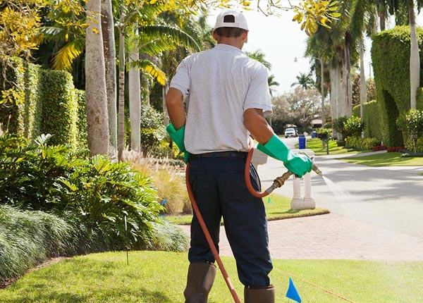 About Cisco TX Pest Control
